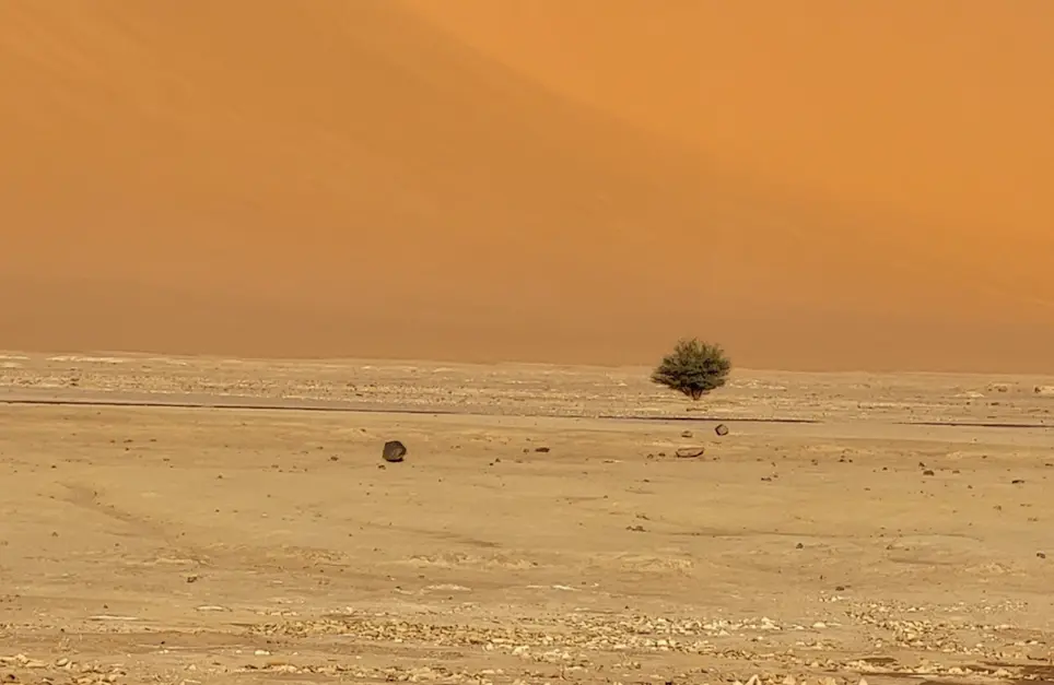 Open desert landscape in Algeria